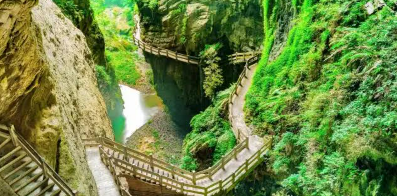 Wulong