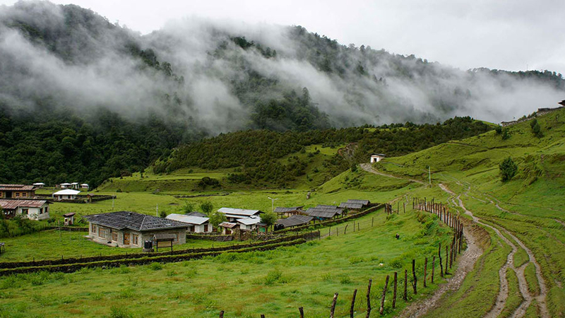 Gangtey Nature Hike images