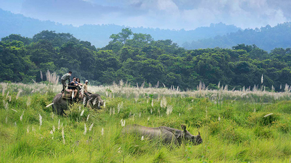 Chitwan National Park in Nepal