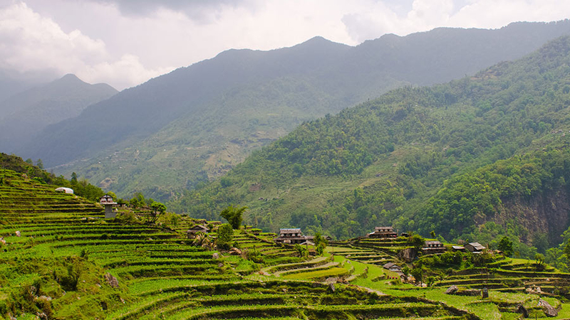 Rice Terraces images