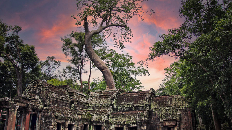 Ta Prohm Temple images