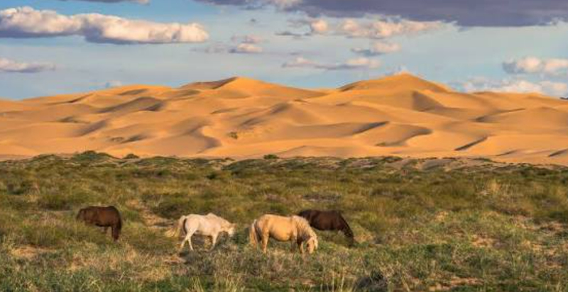 Gobi desert images