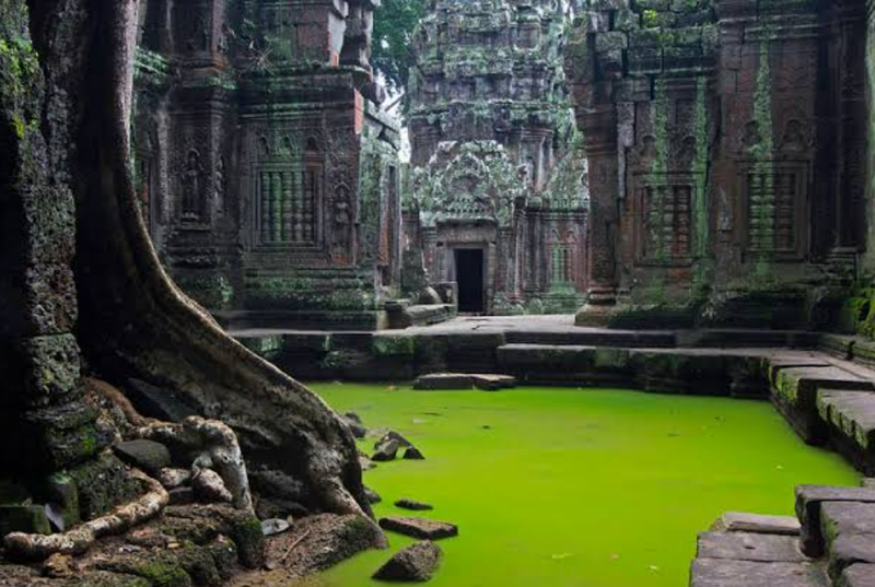 Ta Prohm images