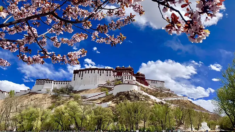 Potala Palace images
