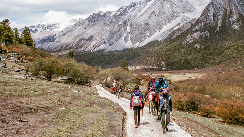 Yading Nature Reserve  images