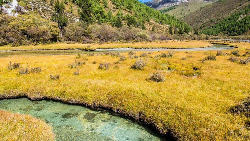Luorong Pasture images