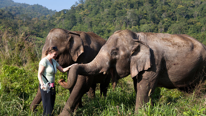 Elephant Nature Park images