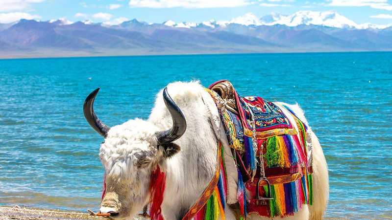 Namtso Lake