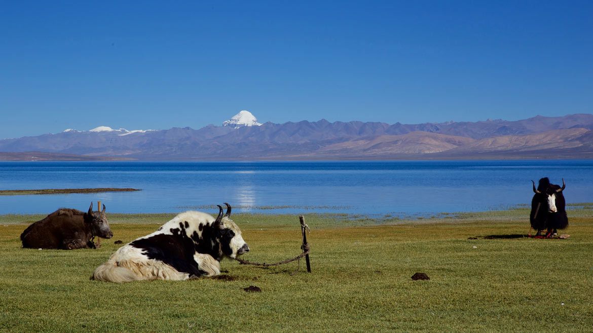Lake Mansarovar